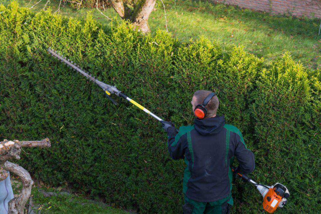 hovenier is bezig met de heg snoeien.