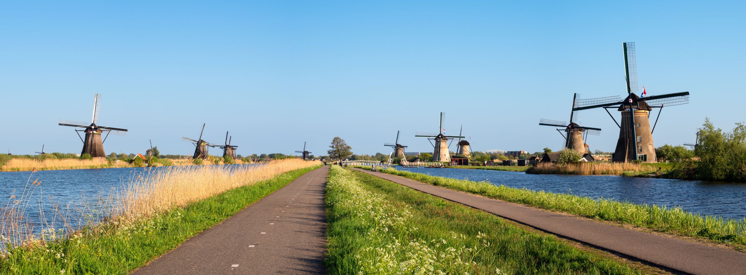 Bekijk de vacatures in Zuid Holland