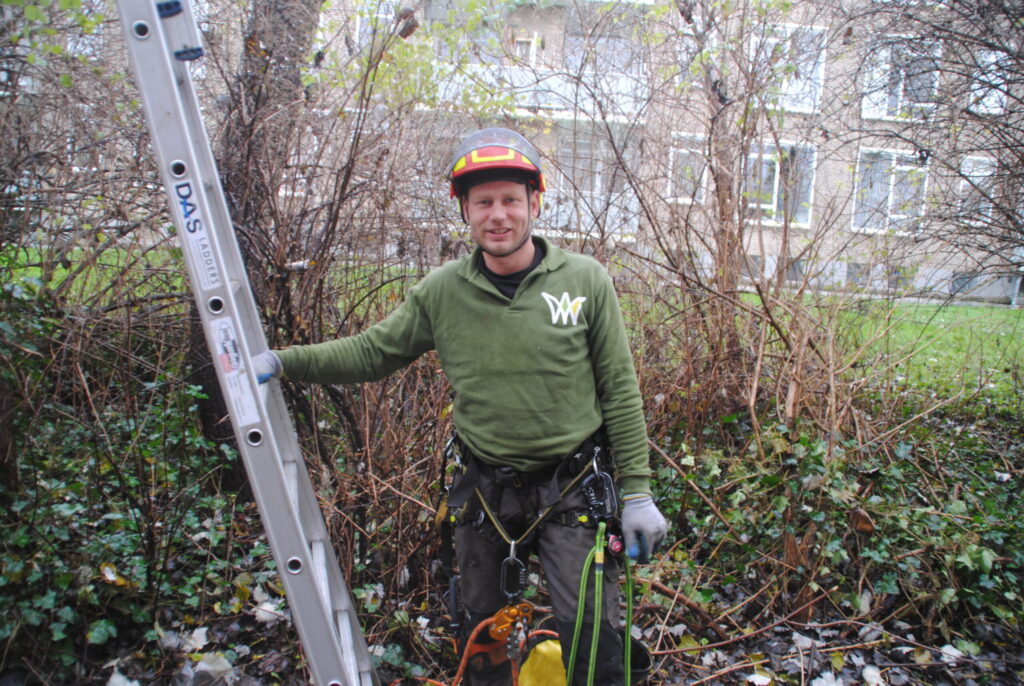 een man is werkzaam als boomverzorger, hij leunt tegen een ladder aan in een mistig bos.