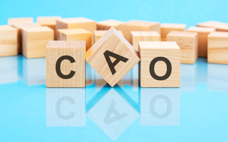 Wat is een cao?