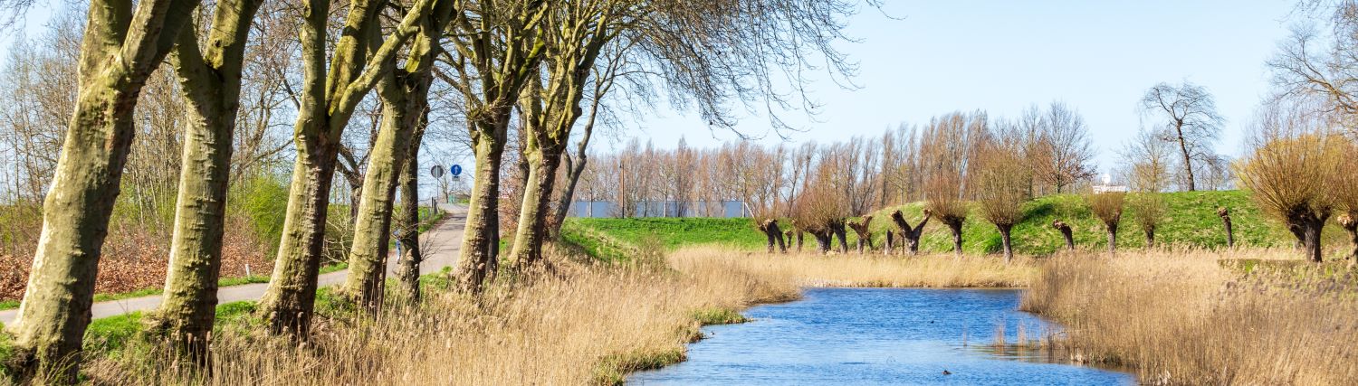 De natuur in Vijfheerenlanden.