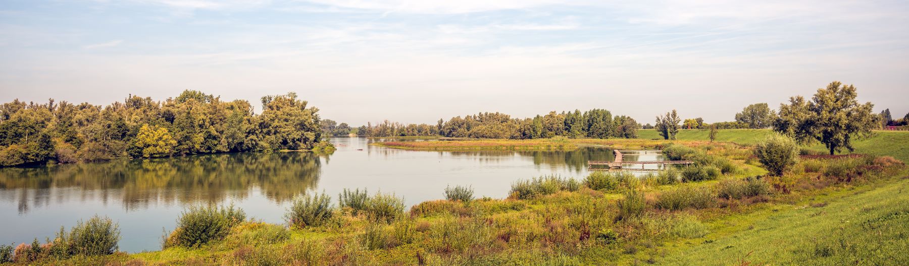 De mooie natuur van de West Betwuwe.