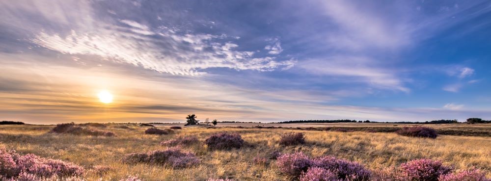 Voor alle vacatures in Gelderland kan je komen te werken in een mooie natuur.