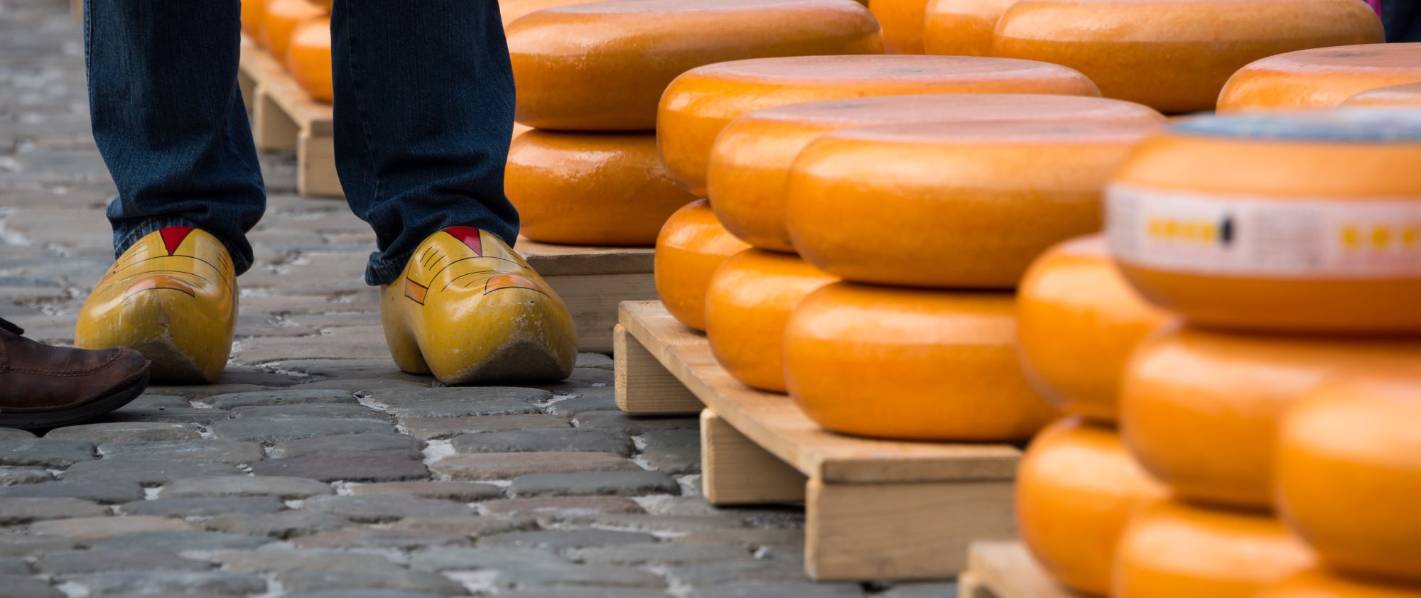 Goudse kaas op de markt in Gouda.