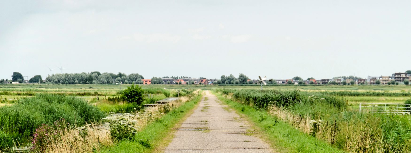 de polder van lansingerland met in de verte het dorpje Berkel.