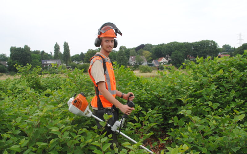man is de bossen aan het snoeien in een oranje outfit.